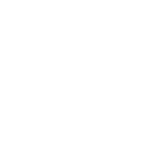 Central Park Festival
