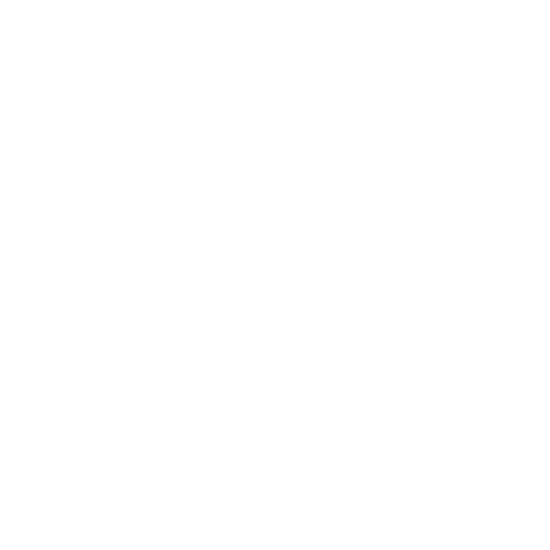 REBiRTH Festival